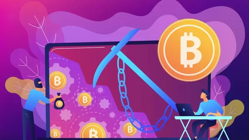 加密货币钱包安全性调查：用户需加强个人信息保护